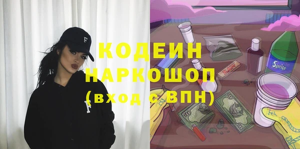 гашик Арсеньев