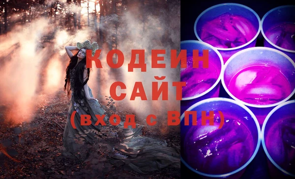 гашик Арсеньев