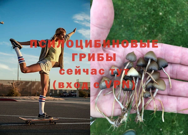 мдпв Армянск