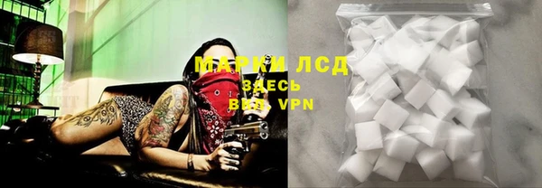 гашик Арсеньев