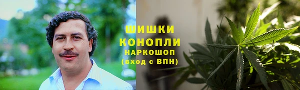 гашик Арсеньев
