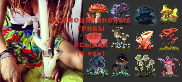 мдпв Армянск