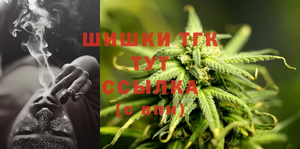 гашик Арсеньев