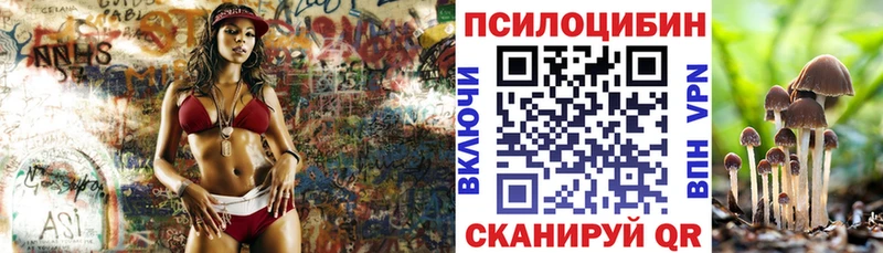 Псилоцибиновые грибы Cubensis  Кологрив 