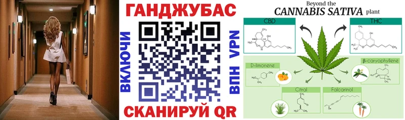 Каннабис сатива Кологрив